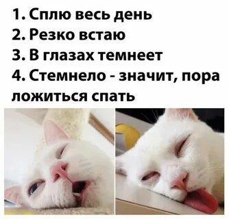 Когда ты будешь спать ложиться