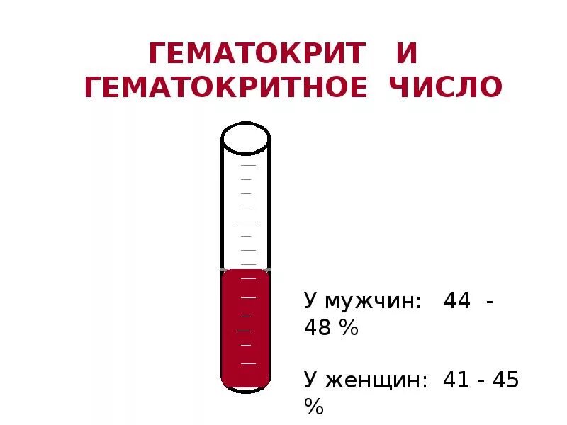 Гематокрит. Гематокритное число. Гематокритное число физиология. Гематокрит у мужчин и женщин.