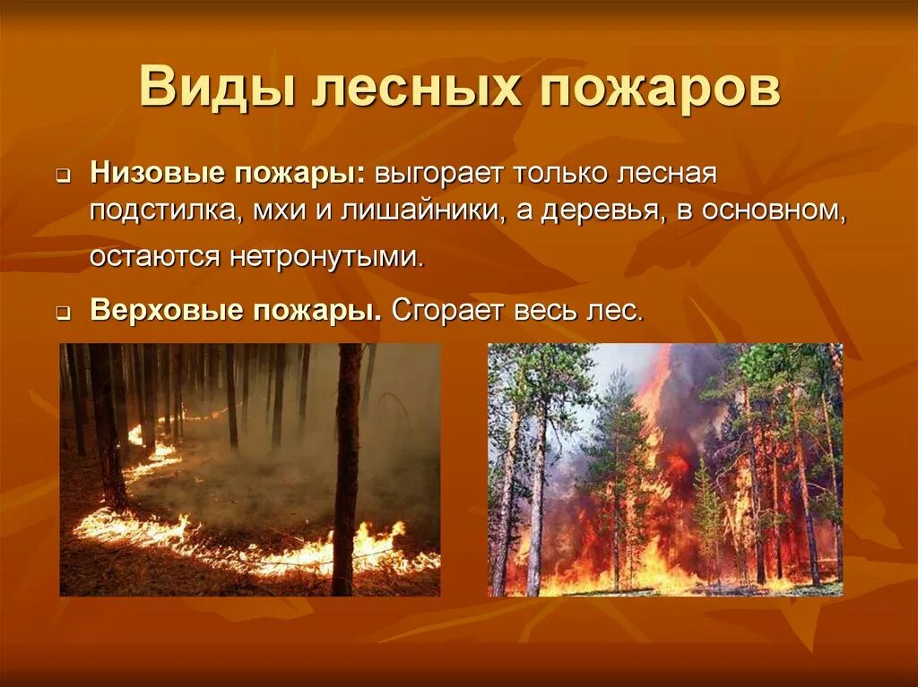 Виды лесных пожаров. Виды пожаров в лесу. Лесные пожары презентация. Презентация на тему пожар в лесу.