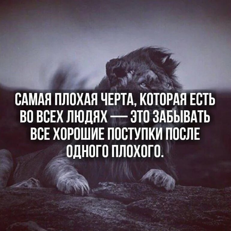 Читать плохой самый лучший