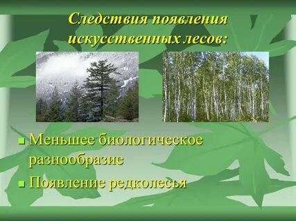 Экологическая презентация лес