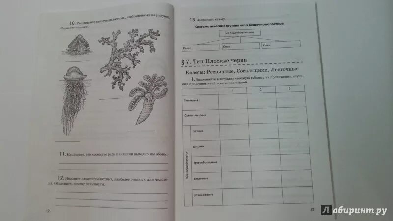 Точка ру биология. В. В. латюшин, е. а. Ламехова биология. Животные 7 класс рабочая тетрадь. Биология животные 7 класс латюшин в.в Шапкин в.а. Рабочая тетрадь по биологии 7 класс Клепинина. Биология 7 класс белый.