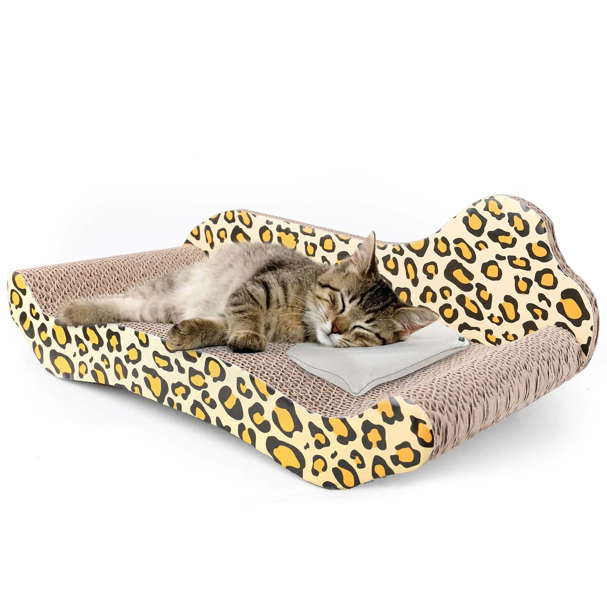 Cat Sofa кроссовки Poison. Cat Sofa дутыши. Cat Sofa коробка. Кэт энд софа кроссовки.