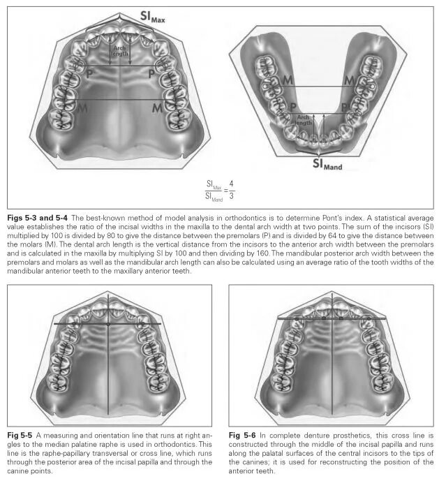 Нумерация зубов верхней и нижней челюсти. Зубная дуга верхней челюсти. Нумерация зубов зубная формула. Форма зубной дуги верхней челюсти. Зубных рядов верхней и нижней.