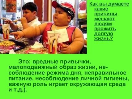 Питание малоподвижный образ жизни