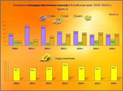Крупнейшие в мире производители масличных культур