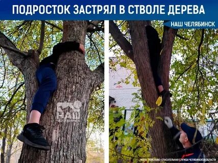 Что делать если застрял на дереве