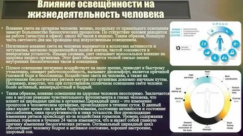 Реакция на изменение светового дня