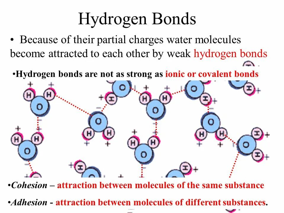 As a part of their. Partial charge of water. partial ionic character of covalent bonds.