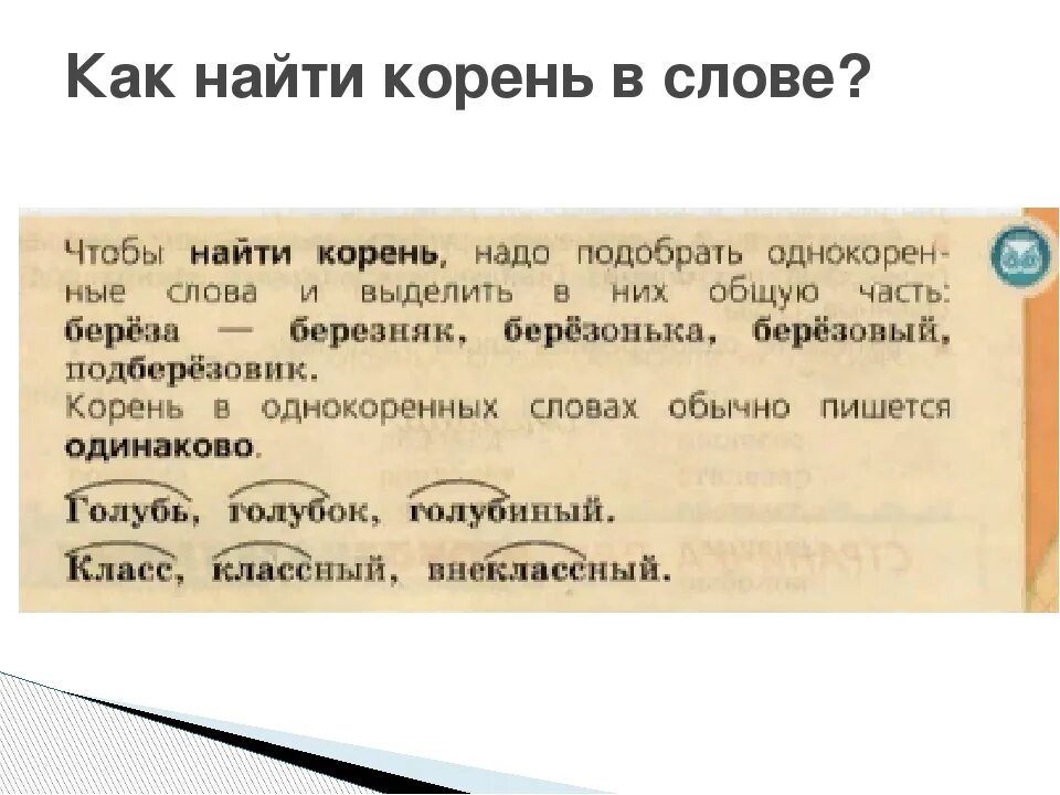 Однокоренное имя существительное к слову работать. Корень слова слова. Как найти корень слова. Что такое корень в русском языке правило. Как выделить корень в слове.