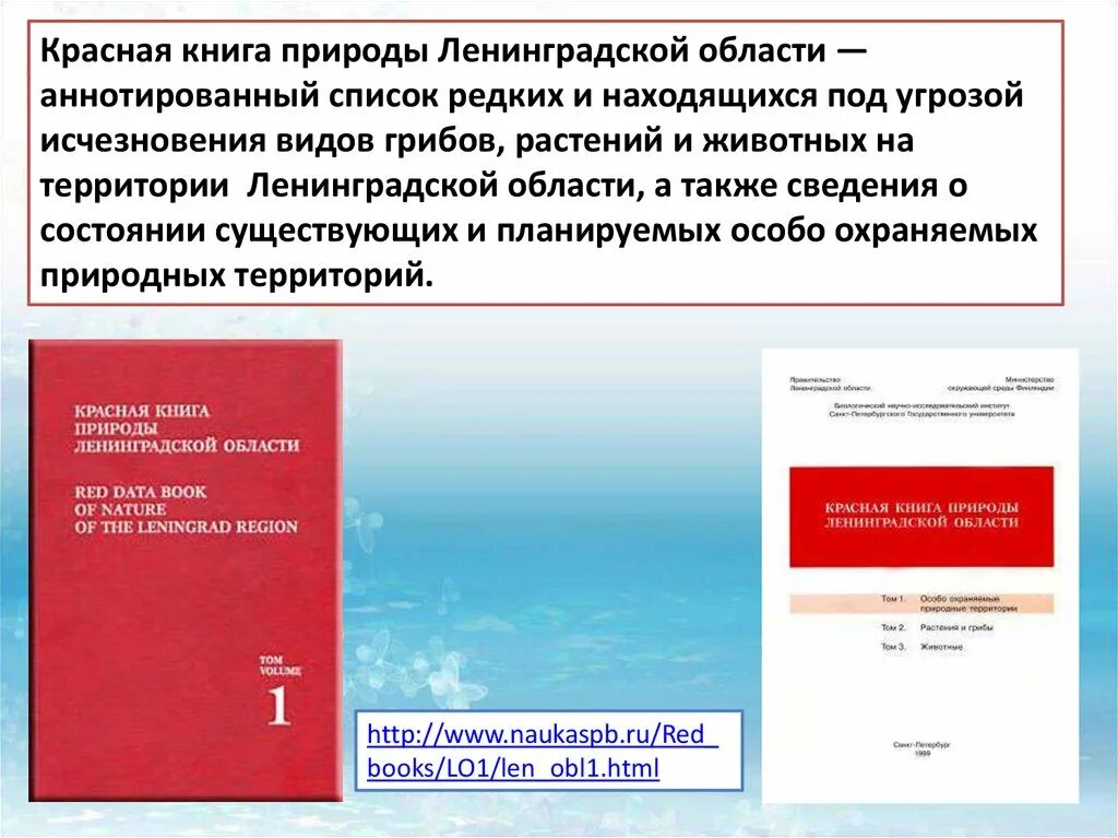 красная книга питера