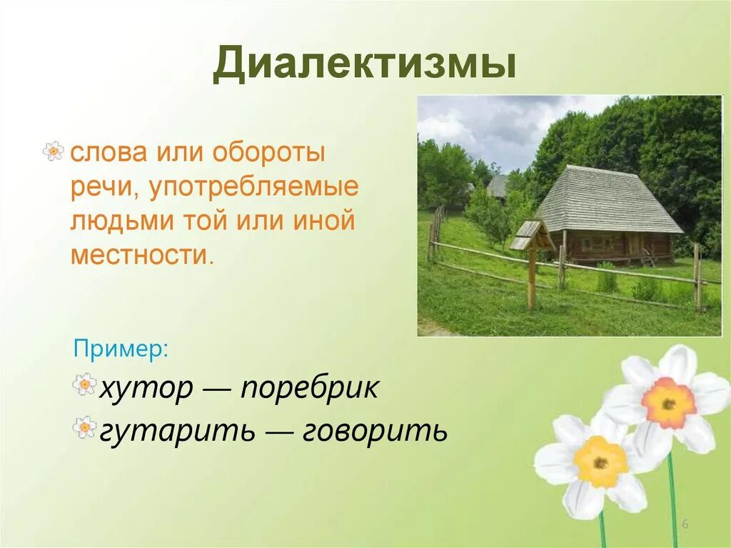Что такое диалектизмы. Диалектизмы примеры. диалектизмыдиалектизмы. диалекты примеры. диалектизмы примеры слов.