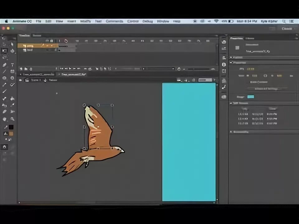 Fly adobe. Векторная анимация Adobe animate. Adobe animate тень. Adobe Photoshop анимация. Анимация в адоб АНИМЕЙТ.