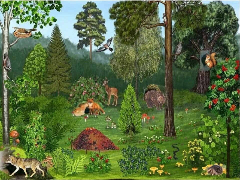 Enchanted forest decorations for wedding ideas 65 Enchanted forest decorations, 