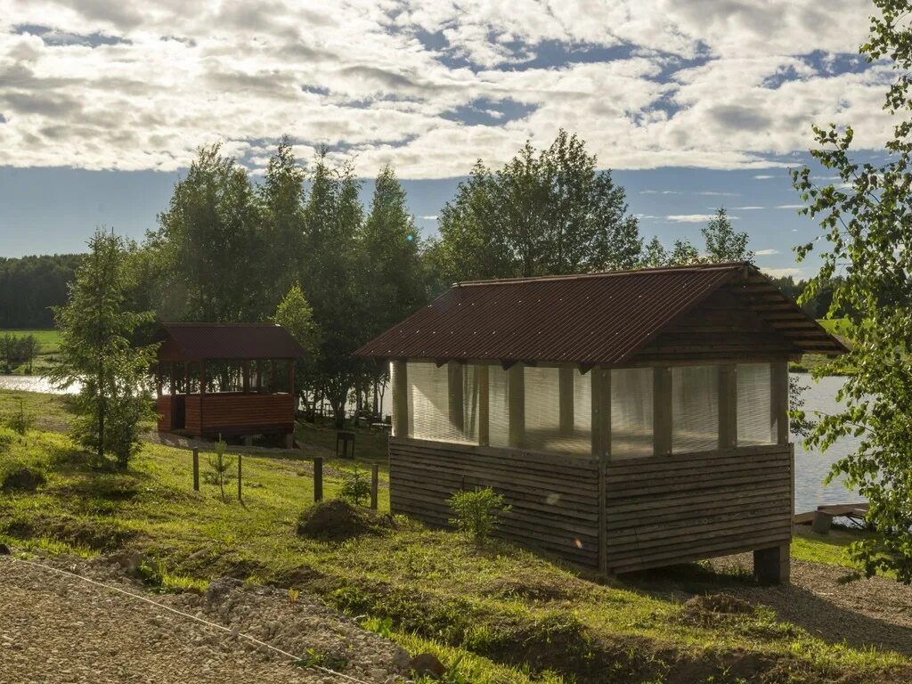 Рыболовный пруд Данилово фишка. Рыбалка Данилово Домодедово. Рыбалка в Данилово Домодедовский. Рыбалка в Данилово Домодедовский район фишка.