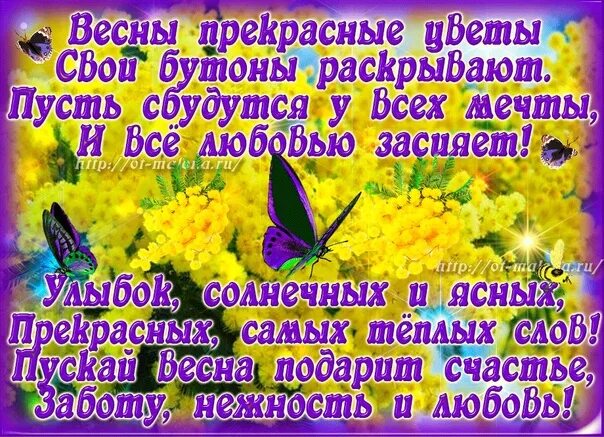 Пусть с весной придет. Майское доброе утро последний день весны. Доброго майского утра с последними днями весны. С последним днем весны завтра лето.