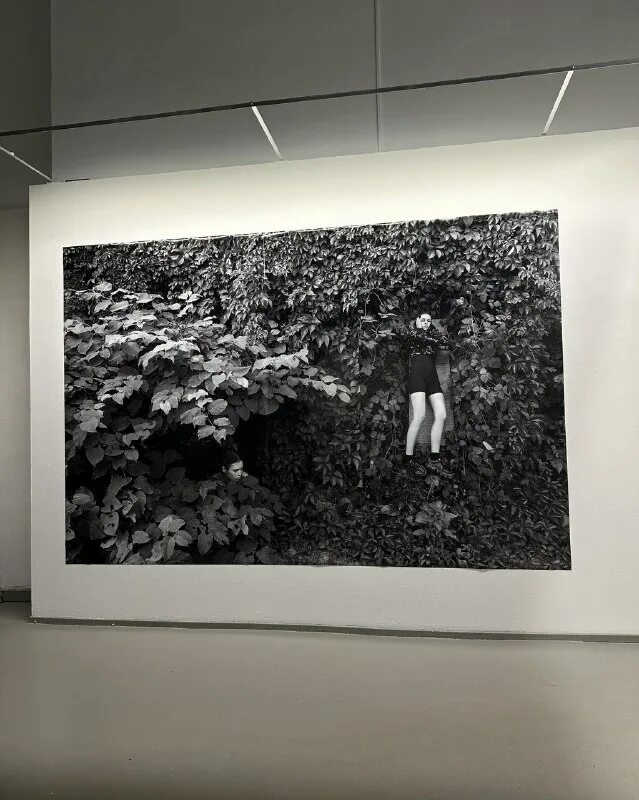 фотовыставки спб. современные выставки спб. микрокосм цифры выставка спб. синтез выставка спб. микрокосм цифры выставка спб.