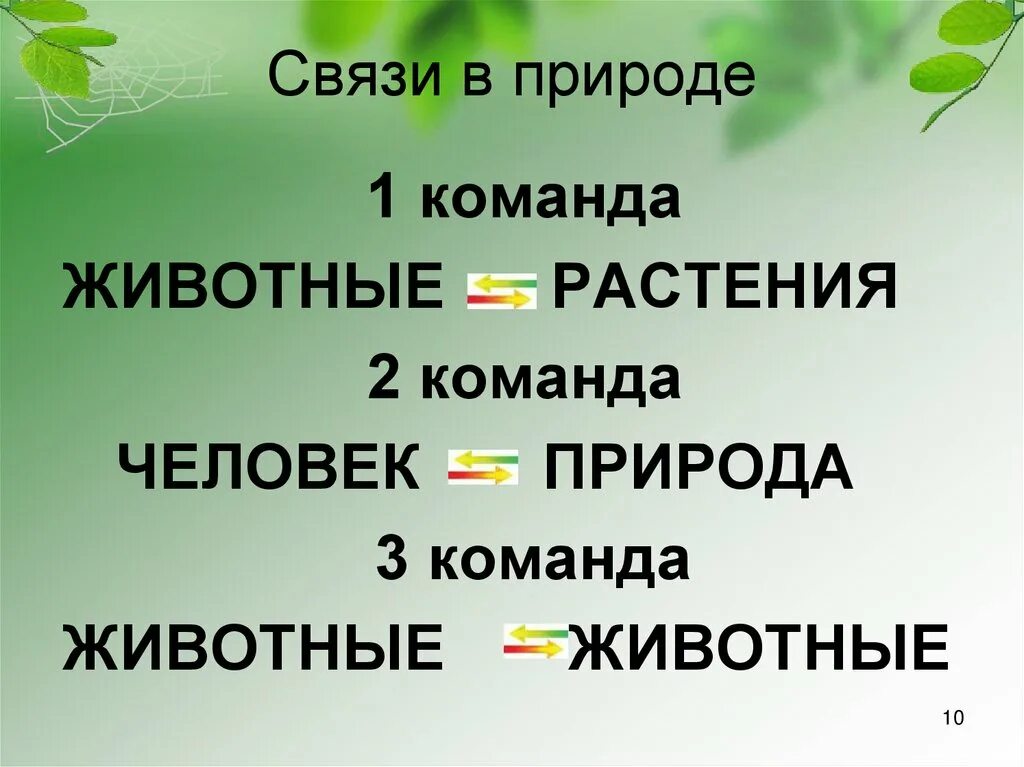 Пример невидимых нитей лесу. Невидимая нить. Связи в природе. Невидимые нити в природе весной. Невидимые связи в природе.