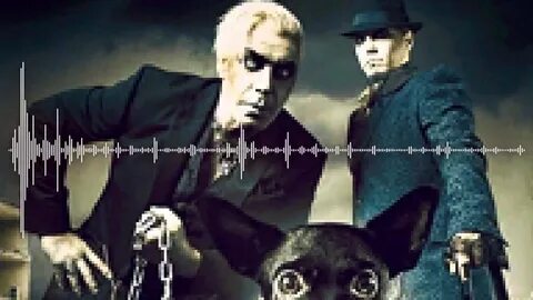 Skills in pills тилль линдеманн