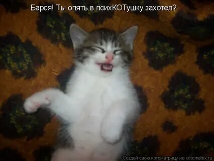 Не смеши