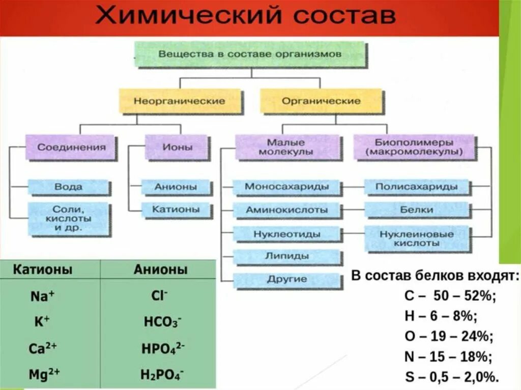 Химические соединения биология