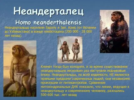 Представители палеоантропов