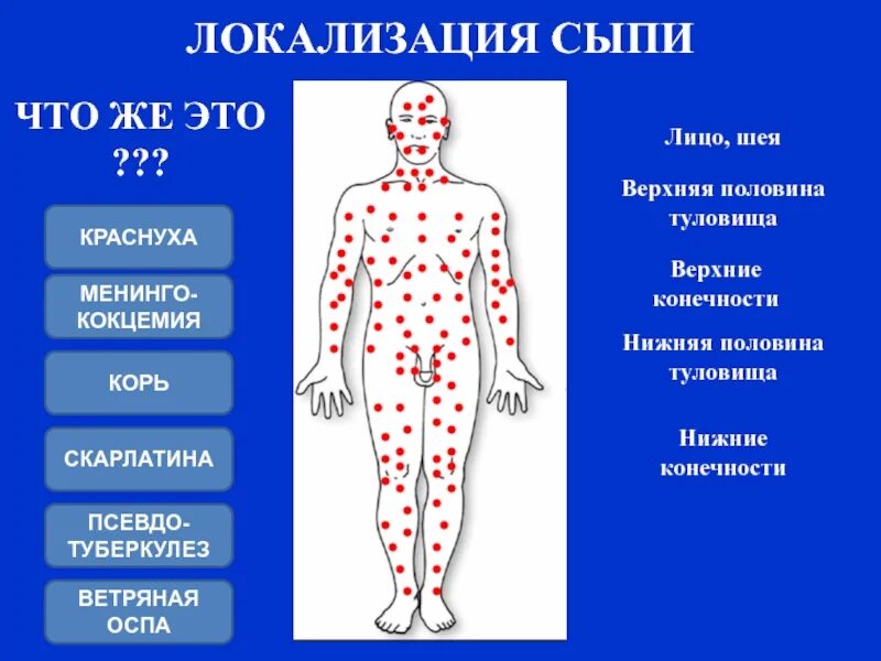 Высыпания на коже температура головная боль