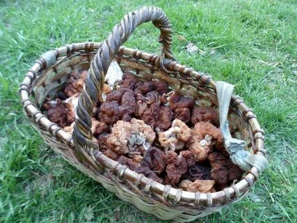 Какие строчки можно есть