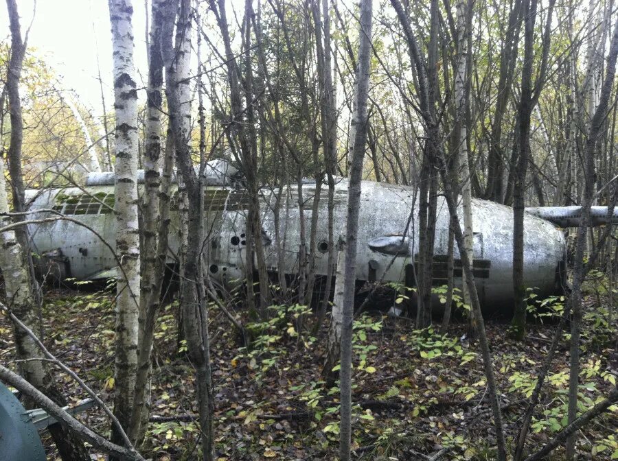 заброшенные самолеты в лесах. самолет найденный в лесу в 1985 году. макеты самолетов и как их строят. самолет в лесу. находки военных самолетов.