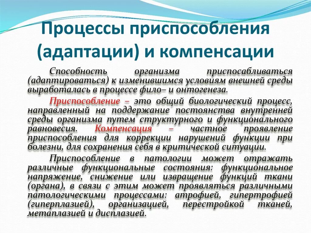 Адаптация и компенсация. Понятие об адаптации и компенсации. Компенсация функций.