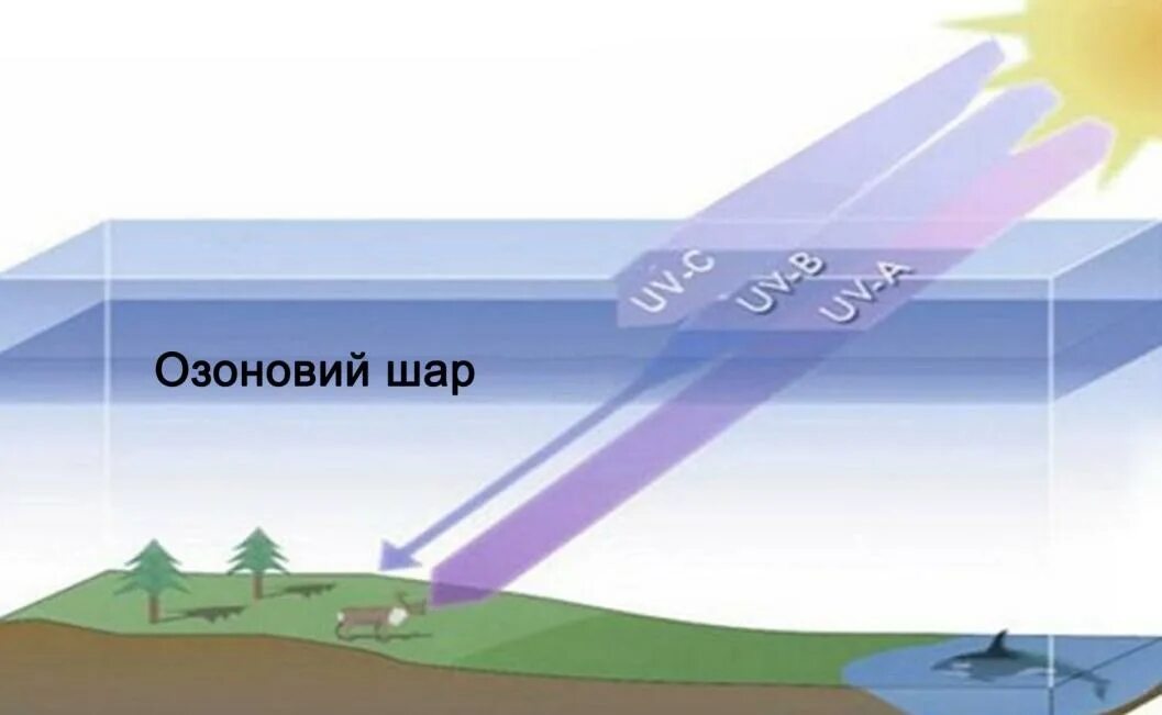 Слой атмосферы защищающий от ультрафиолетового излучения. Озоновый слой и ультрафиолетовое излучение. ультрафиолет и озоновый слой. защита от ультрафиолетовых лучей. ультрафиолетовое излучение защита от воздействия уф.