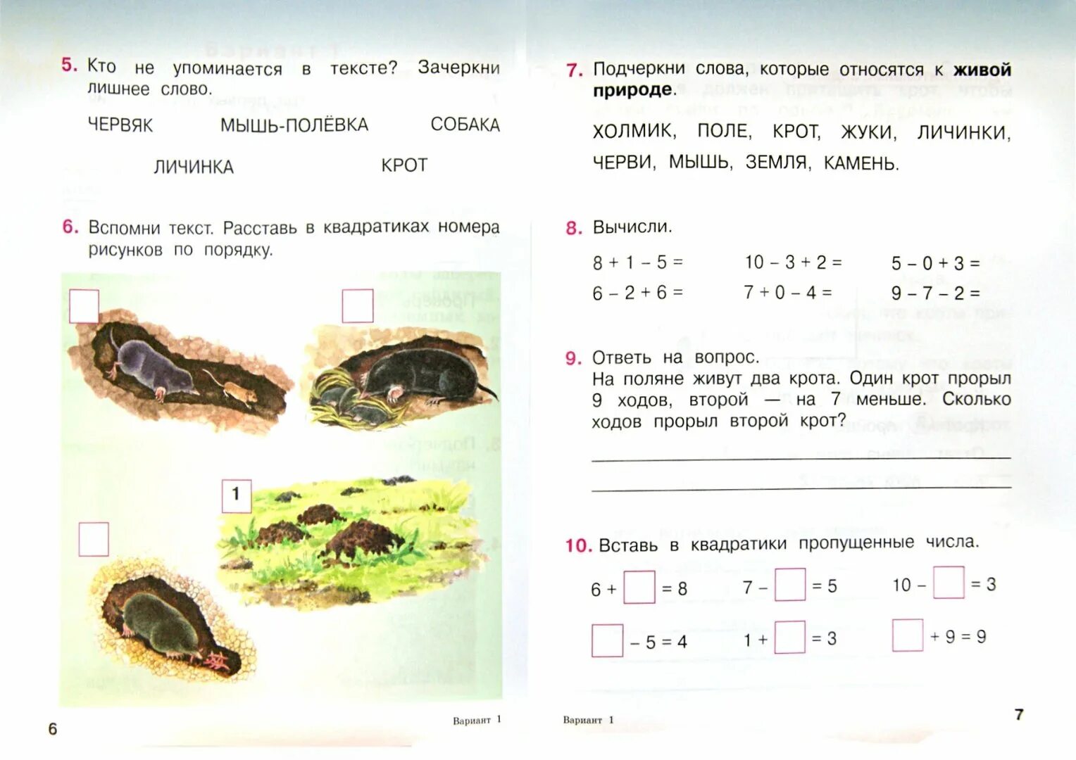 Комплексная работа 1 класс. Комплексные задания для 1 класса школа России. Комплексная контрольная 4 класс школа России ФГОС. Итоговые комплексные задания для 1 класса. Контрольная комплексная контрольная работа 2 класс.