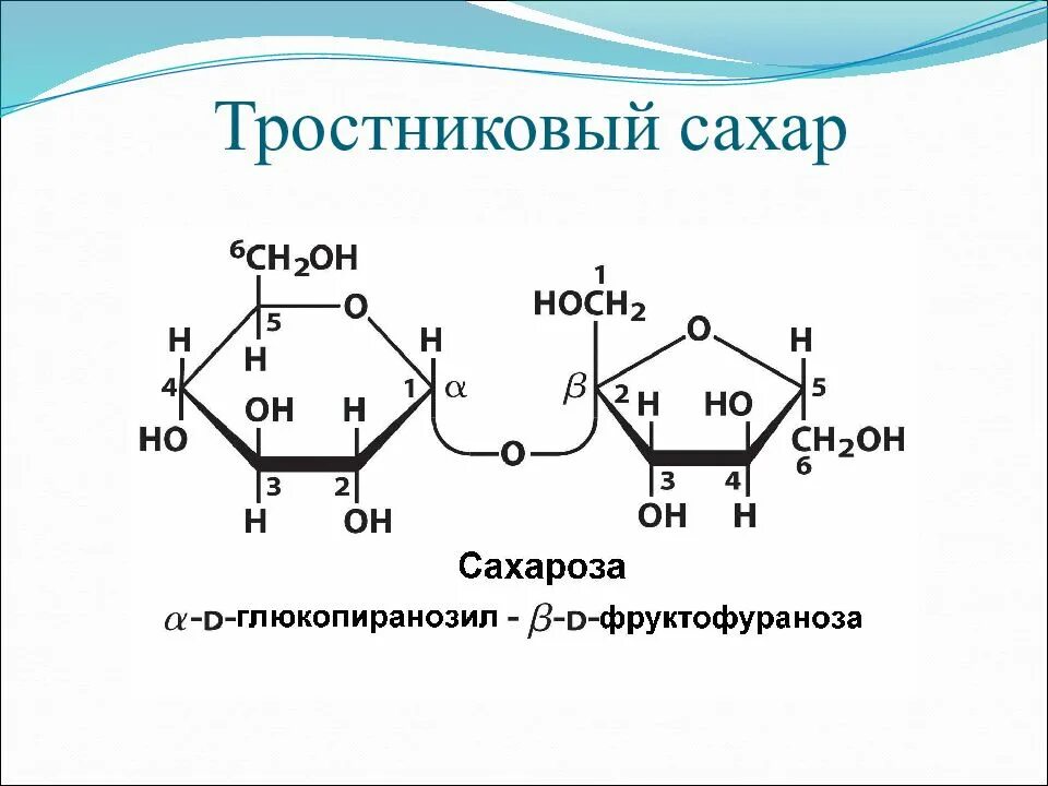 Сахарный тростник формула