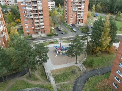 Сосновый бор 38