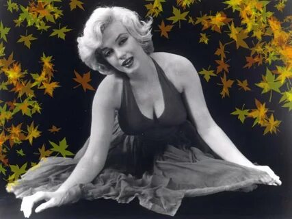 Marilyn video