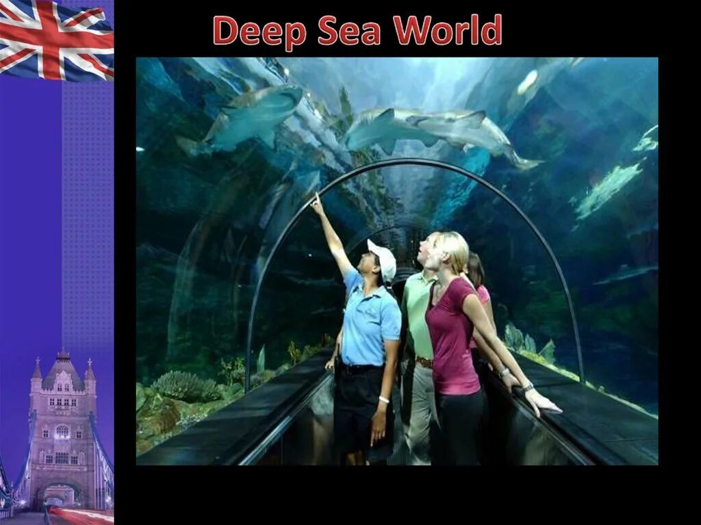 See your world. Deep Sea World. Deep Sea World Edinburgh. Deep Sea World in Edinburgh. Deep Sea World в Эдинбурге рыбы.