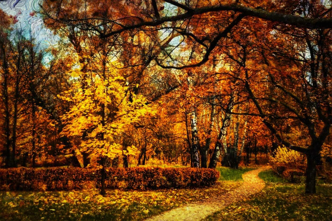 Осенний день. Парк Сокольники осень. С днем осени. Красивый осенний день фото.
