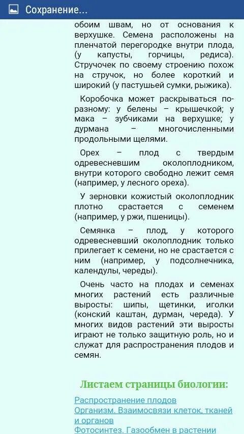 Используя информационные ресурсы подготовьте сообщение о разнообразии. Сообщение о разнообразии плодов и их роли в природе и в жизни человека. разнообразие плодов и их роль в природе и в жизни человека доклад.
