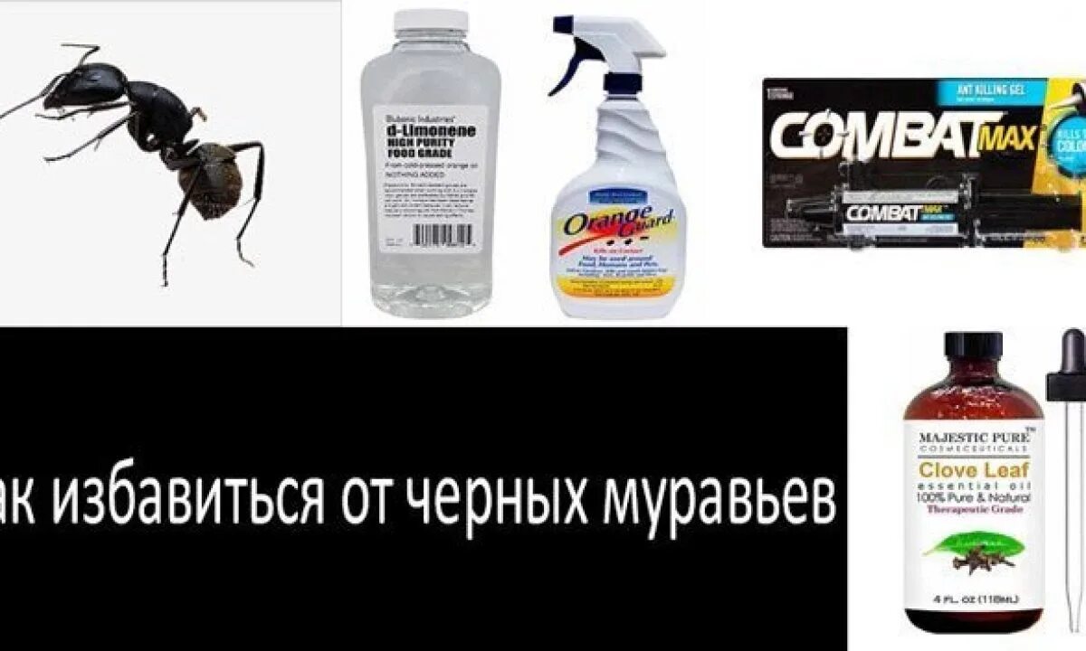 От черных муравьев в доме. Средство от муравьёв в квартире. Средство от черных муравьев. От муравьёв в доме. Средство от черных муравьев в доме.