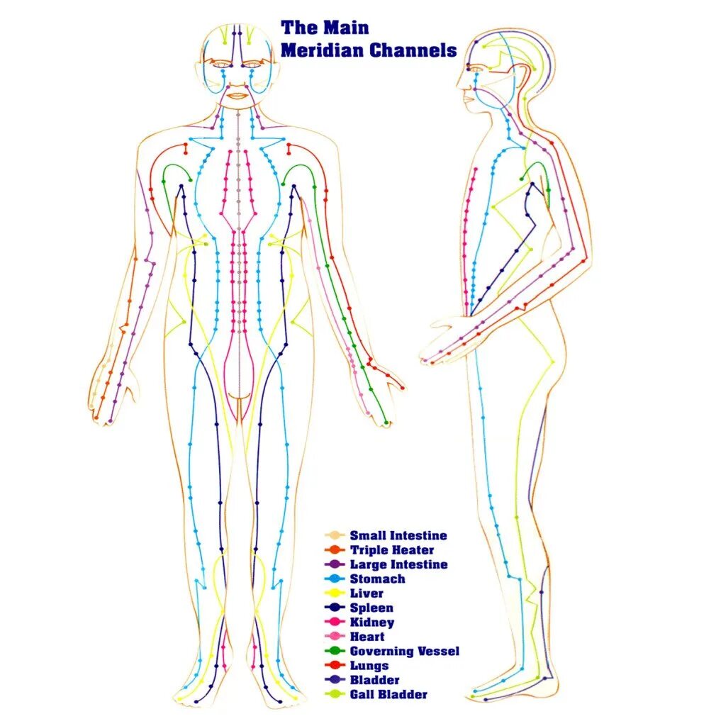Каналы китайской медицины. 12 Энергетических меридианов человека. Энергетические меридианы тела человека схема. Энергетические меридианы человека китайская медицина. Меридианы человека схема и направления китайская.
