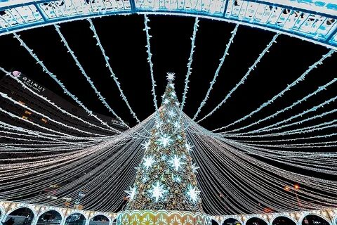 Новогодний мурманск 2024