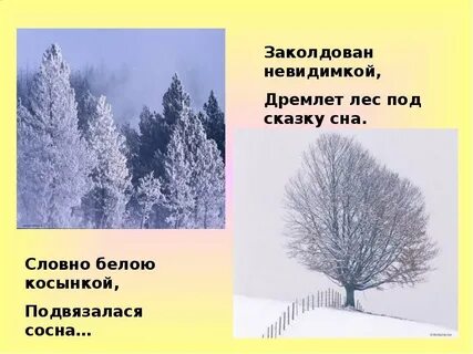 Лес словно сказка