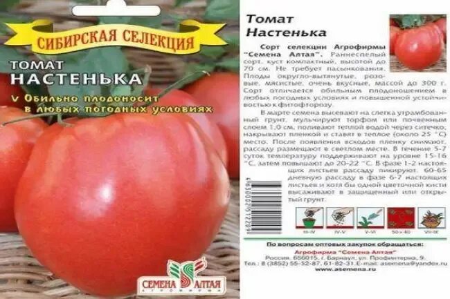 Сорт томата сибирской селекции