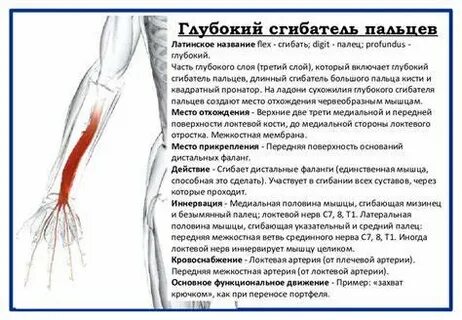 Боль при сгибании кисти