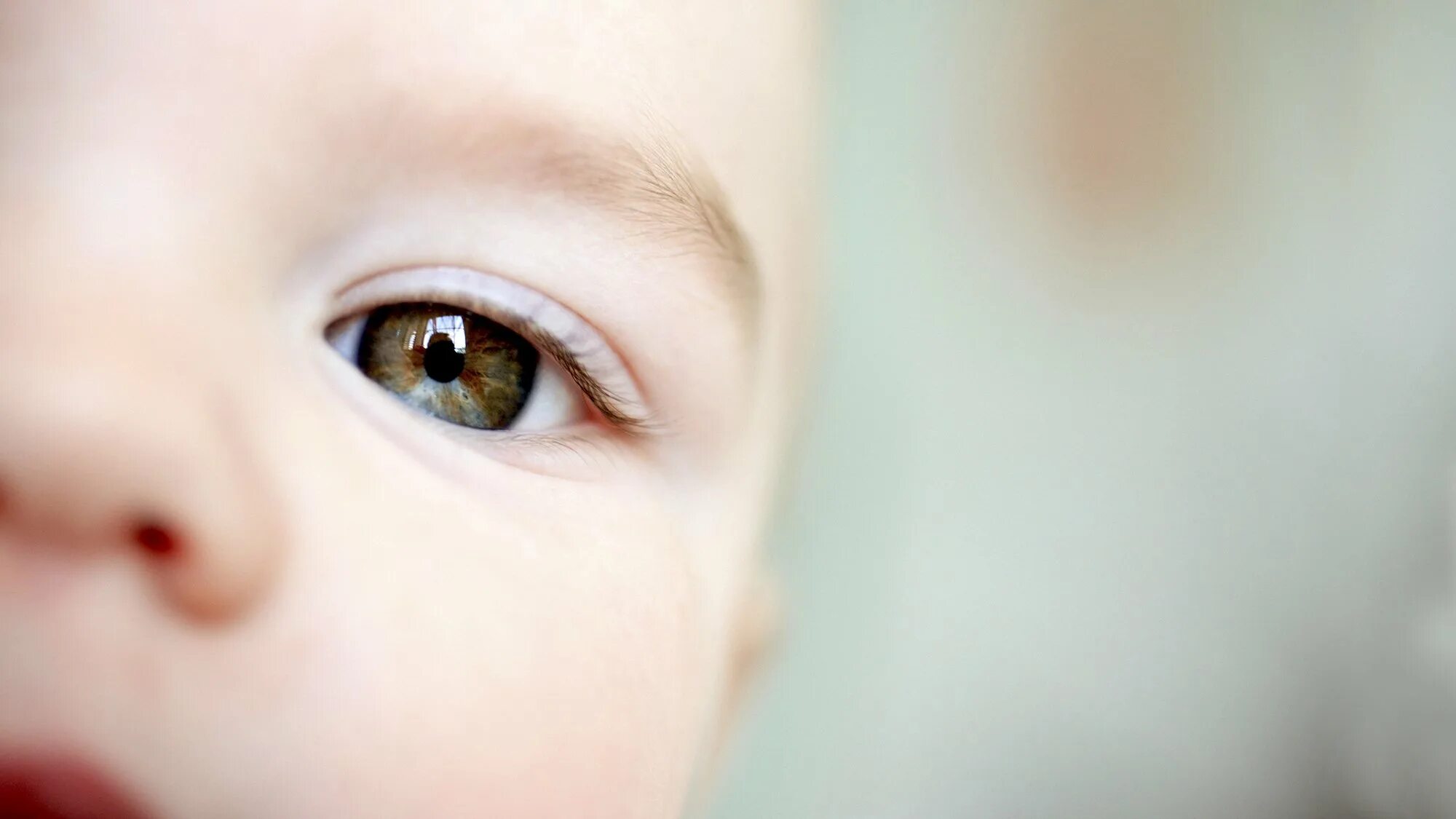 Глазки в 4 месяца. Глаза ребенка. Глаза у новорожденных. Дети с голубыми глазами. Серо-карие глаза у ребенка.