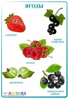 Тематическая неделя ягоды