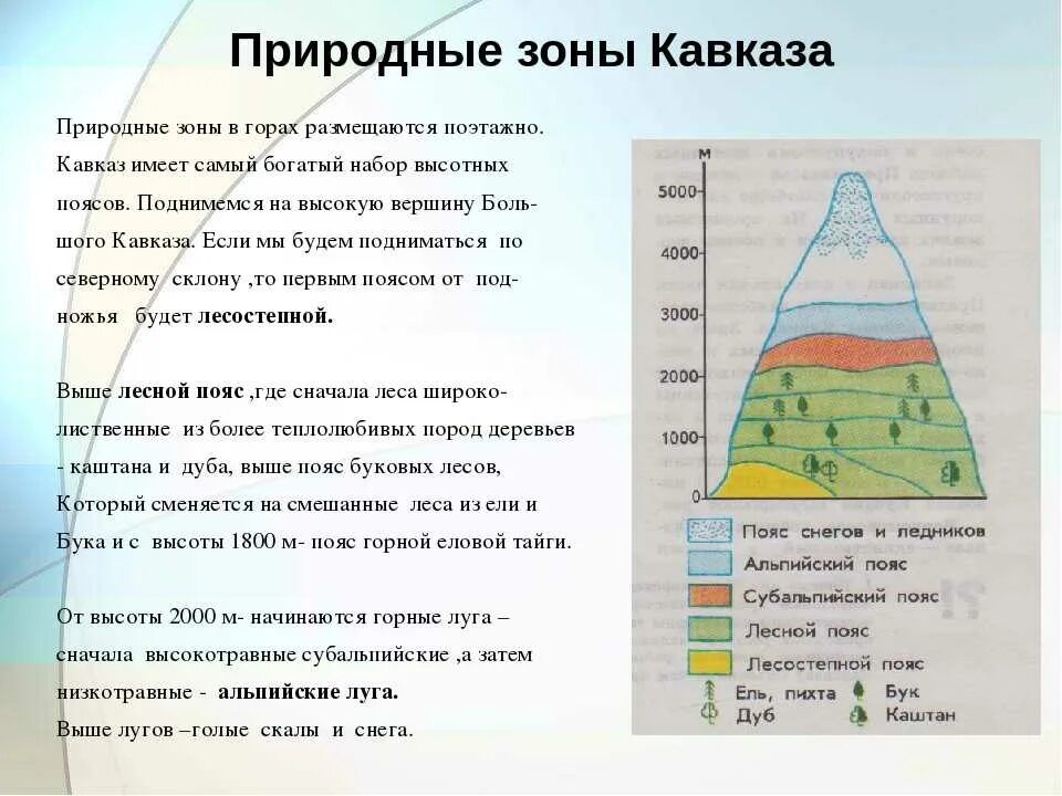 Природный пояс у подножия гор кавказа