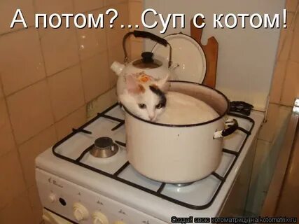 Кота потом