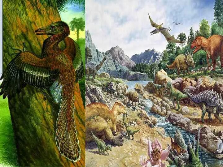 Триасовый период мезозойской эры. Меловой период мезозойской эры. Мезозойская эра триасовый юрский. Триасовый период юрский период меловой период. Юрский период.