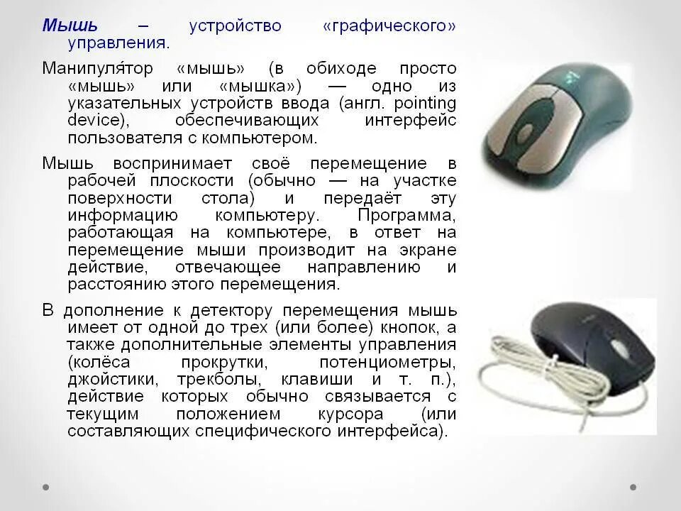 Почему мышь назвали мышью. Устройство компьютерной мышки. Описание компьютерной мышки. Устройство персонального компьютера мышь. Компьютерная мышь описание.